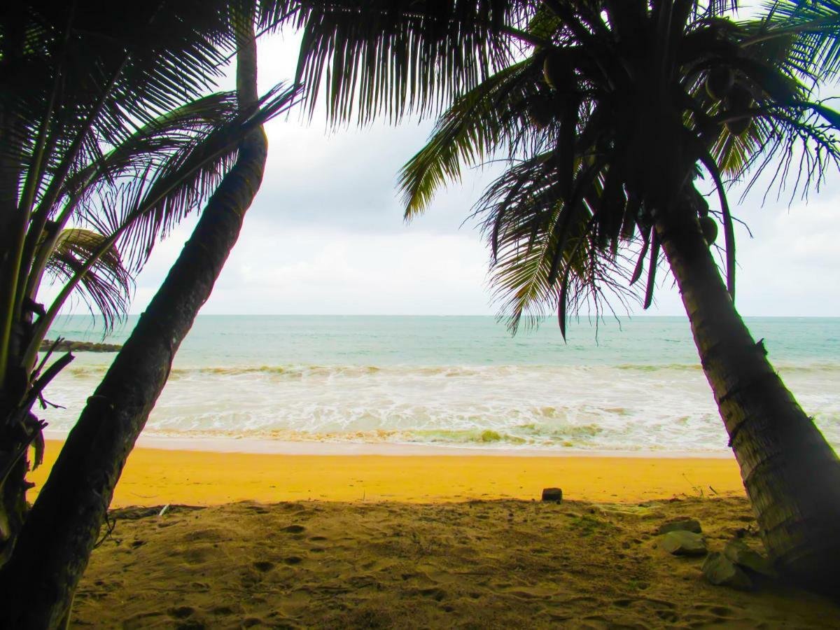 Shanika Beach Inn แทนกาลเล ภายนอก รูปภาพ